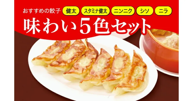 【ふるさと納税】「宇都宮餃子館」健太餃子味わい5色セット（餃子5種）　800gギョーザ 冷凍餃子 冷凍食品 グルメ 食品 惣菜 中華惣菜 点心 中華 送料無料