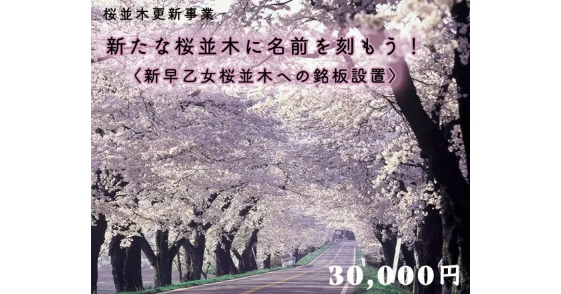 【ふるさと納税】クラウドファンディング　新たな桜並木に名前を刻もう！〈新早乙女桜並木への銘板設置〉30,000円