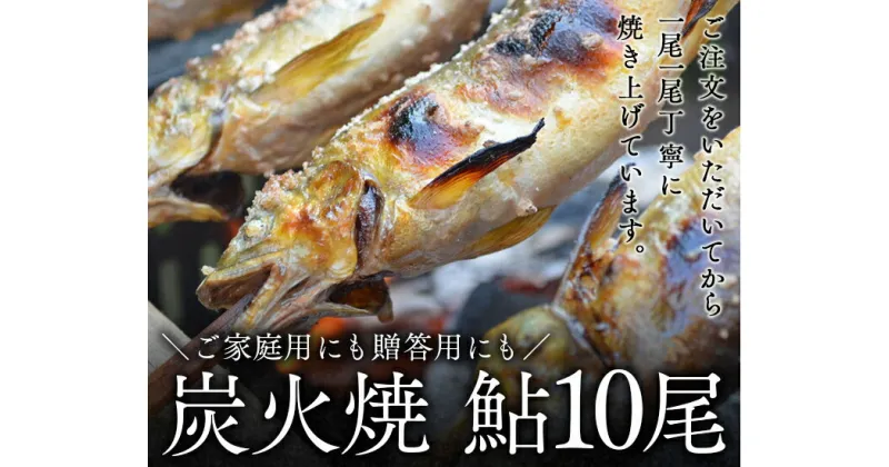 【ふるさと納税】喜連川湧水育ち鮎☆炭火焼鮎10尾入り あゆ アユ 魚 魚介 海鮮 送料無料