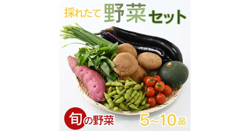 【ふるさと納税】【産地直送】採りたて野菜セット