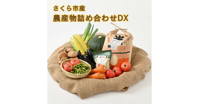 【ふるさと納税】さくら市産の農産物詰め合わせDX≪野菜 旬の野菜 米 送料無料≫