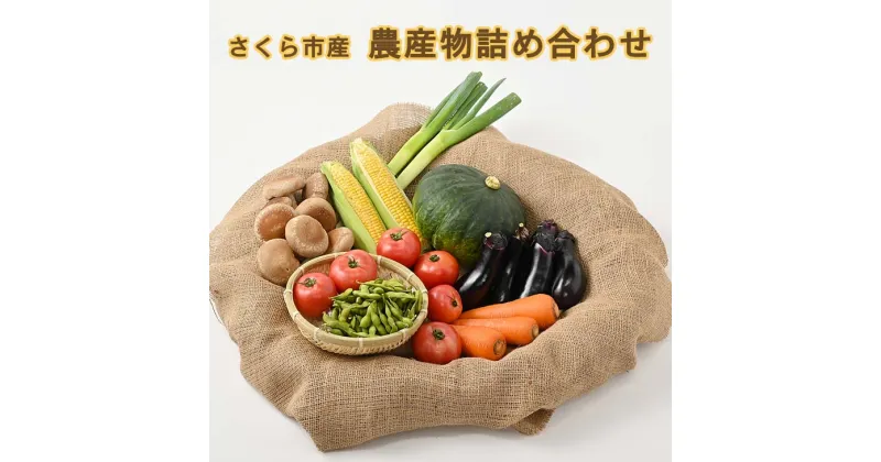 【ふるさと納税】さくら市産の農産物詰め合わせ≪野菜 新鮮 国産 栃木県 送料無料≫