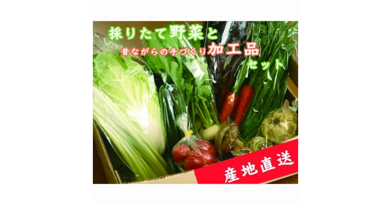 【ふるさと納税】【産地直送】採りたて野菜と昔ながらの手づくり加工品セット 旬の野菜 詰め合わせ 野菜セット 栃木県産 国産 送料無料