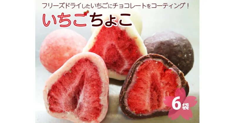 【ふるさと納税】いちご ちょこ 6袋 ｜ 苺 イチゴ チョコ スイーツ ギフト 送料無料※着日指定不可