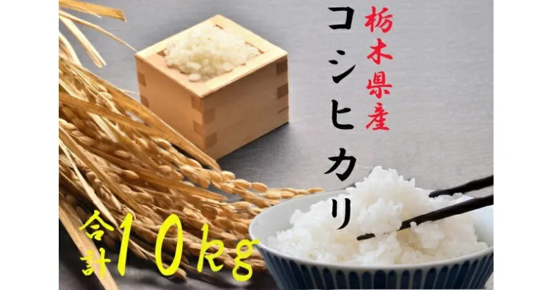 【ふるさと納税】【9月改定】【令和6年度産新米】栃木県さくら市産コシヒカリ精米10kg（精米5kg×2袋）｜お米 ご飯 美味しい 産地直送 おうちごはん 白米 新米 自宅用 ※2024年10月上旬～2025年4月下旬頃に順次発送予定