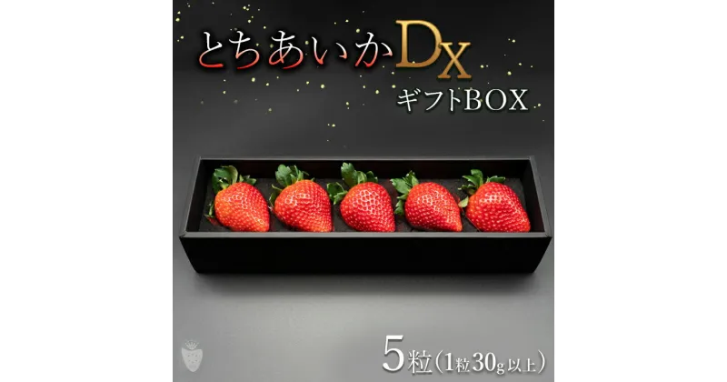 【ふるさと納税】【先行予約】【数量限定】とちあいかDX ギフトBOX（5粒）｜いちご イチゴ 苺 ※2024年11月上旬頃より順次発送予定