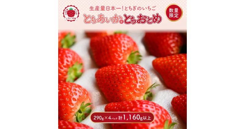 【ふるさと納税】《数量限定》新旧2種食べ比べセット（とちおとめ、とちあいか）290g×4パック　1.16kg以上｜先行予約 数量限定 栃木県 果物 くだもの フルーツ 苺 イチゴ ※2025年1月上旬～4月中旬頃に順次発送予定