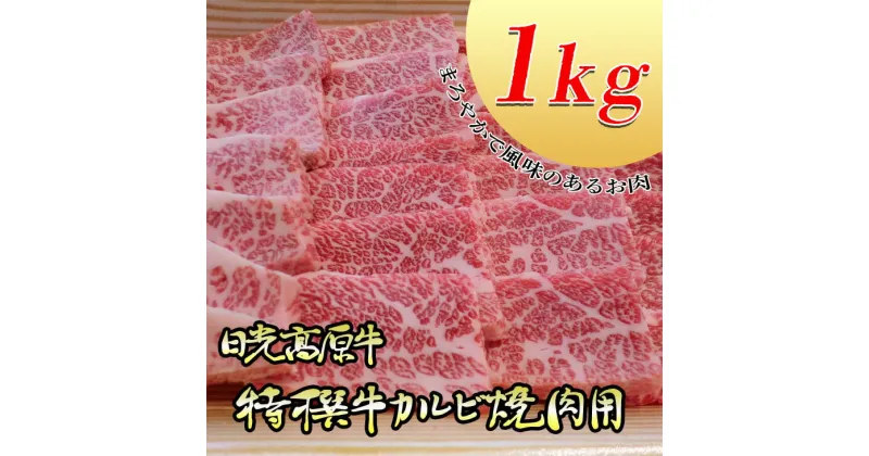 【ふるさと納税】日光高原牛特撰牛カルビ焼肉用1kg入 肉 霜降り 焼肉 国産牛 グルメ 栃木県 送料無料※着日指定不可