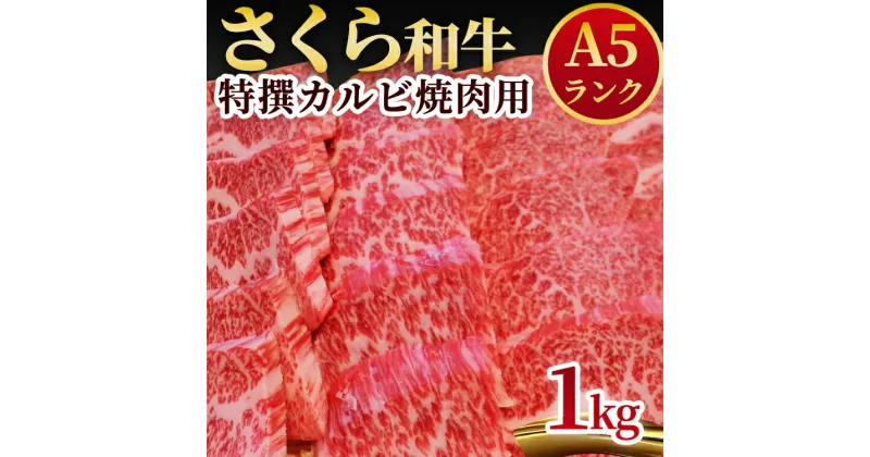 【ふるさと納税】A5さくら和牛特撰カルビ焼肉用1kg 肉 焼肉 国産牛 グルメ 送料無料※着日指定不可