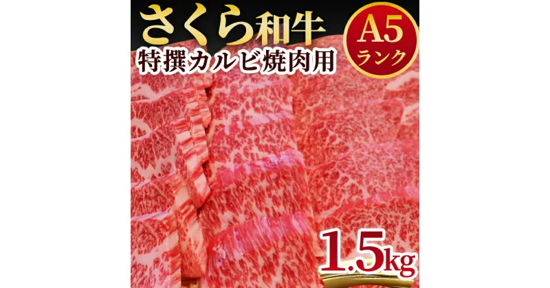 【ふるさと納税】A5さくら和牛特撰カルビ焼肉用1.5kg 肉 焼肉 国産牛 グルメ 送料無料※着日指定不可