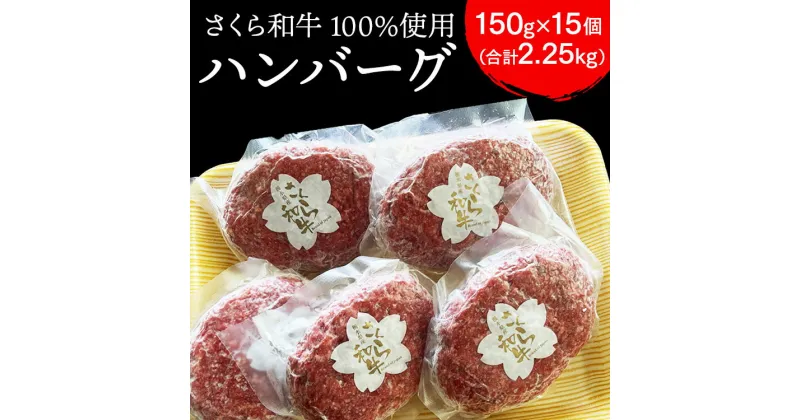 【ふるさと納税】ハンバーグ 150g×15個（合計2.25kg）栃木県産 さくら和牛100% 冷凍 牛肉 牛 ビーフ 冷凍ハンバーグ 個別 真空 ギフト