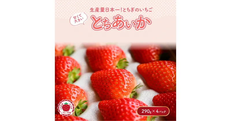 【ふるさと納税】《数量限定》【先行予約】いちご とちあいかセット 290g×4パック（1.16kg以上） ※2025年1月上旬～4月中旬頃に順次発送予定