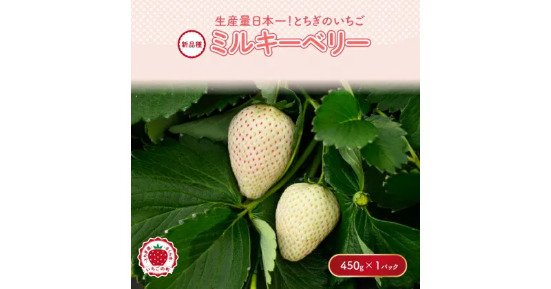 【ふるさと納税】《数量限定》【先行予約】いちご ミルキーベリーセット 450g×1パック ※2025年1月中旬～4月中旬頃に順次発送予定