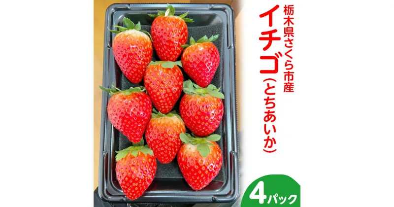 【ふるさと納税】〈数量限定〉【先行予約】さくら市産イチゴ（とちあいか）290g×4パック【先行予約 栃木県 果物 くだもの フルーツ 苺 いちご】 ※2024年12月下旬～2025年3月下旬頃に順次発送予定