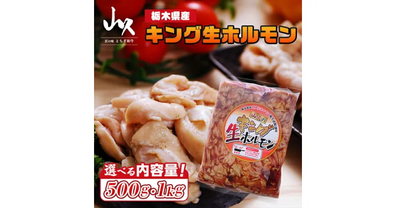 【ふるさと納税】選べる内容量！栃木県産キング生ホルモン（500g～1kg）