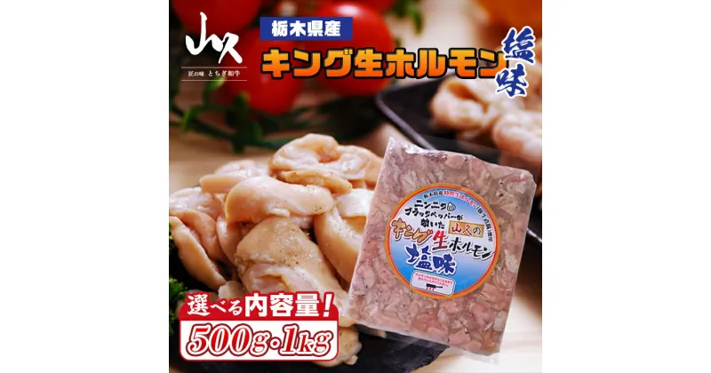 【ふるさと納税】選べる内容量！栃木県産キング生ホルモン塩味（500g～1kg）