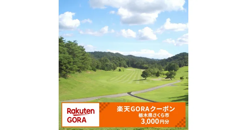 【ふるさと納税】栃木県 さくら市の対象ゴルフ場で使える楽天GORAクーポン 寄付額10,000円(クーポン3,000円)