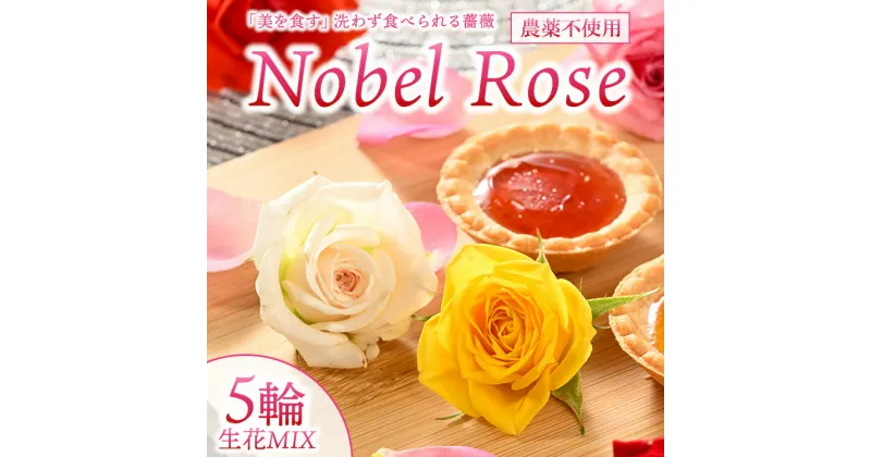 【ふるさと納税】『美を食す』 Nobel Rose 生花MIX 5輪｜通年出荷 食用バラ 薔薇