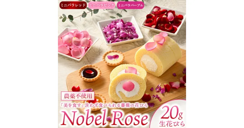 【ふるさと納税】『美を食す』 Nobel Rose 生花びら 20g｜通年出荷 食用バラ 薔薇