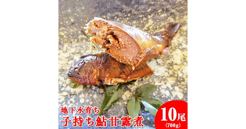 【ふるさと納税】地下水育ち　子持ち鮎甘露煮10尾