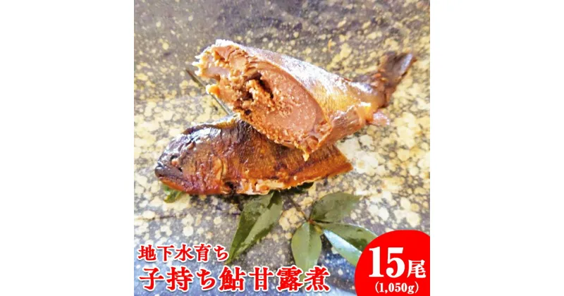 【ふるさと納税】地下水育ち　子持ち鮎甘露煮15尾