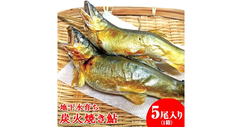 【ふるさと納税】地下水育ち　炭火焼き鮎5尾入り