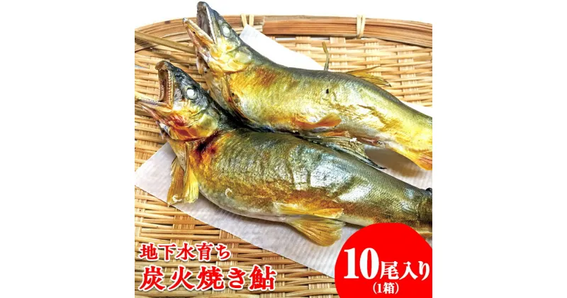 【ふるさと納税】地下水育ち　炭火焼き鮎10尾入り