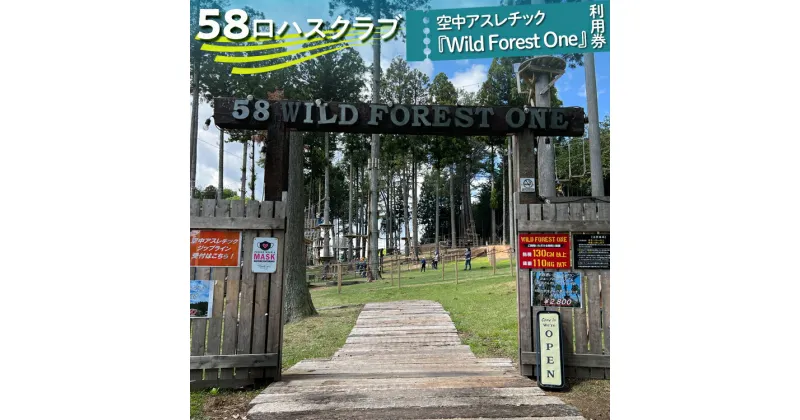 【ふるさと納税】58ロハスクラブ　空中アスレチック『Wild Forest One』利用券